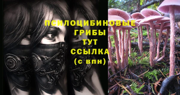 марки lsd Алзамай